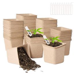 Jardinières 40/80/100 pièces plateau de culture de graines Pot en papier biodégradable plante semis pépinière tasse fournitures de jardin Pots de départ