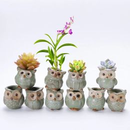 Jardinières créatives 5 pièces/ensemble, Pots de fleurs en forme de hibou en céramique, nouveau Pot de fleur de bureau, Design mignon, Pot de jardinière succulente