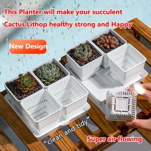 Plantenbakken Meshpot Vierkant Kunststof Succulente Lithop Cactus Plantenbak Bloempot met drainage Vensterbank Plantenbak