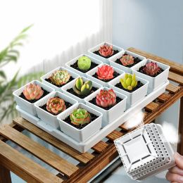 Jardinières Meshpot Pot Succulent Pot de Fleur en Plastique Cactus Lithops Planteur Conteneur Semis Pépinière Fournitures de Jardin Décoration de la Maison