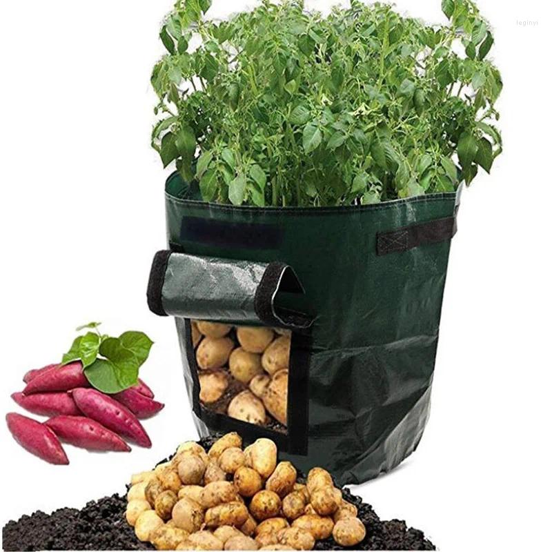 Fioriere per coltivazione di patate PE pianta di cipolla vegetale con manico addensato da giardino carota taro arachidi in crescita