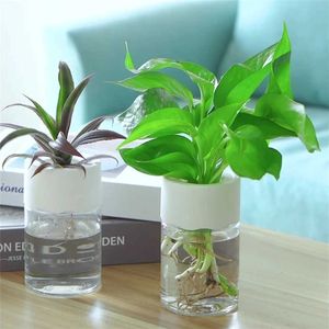 Jardinières pots 1 morceau d'animal de compagnie en plastique hydroponique de plante réservoir d'eau transparent contenant de mode de mode
