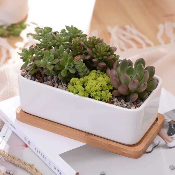 Planteurs Pots 1 Ensemble de taille minimale Rectangulaire blanc céramique d'adsorption de plante Pot-Top Table Fleur Zakka Home Decoration (1 pot + 1 plateau) Q240429