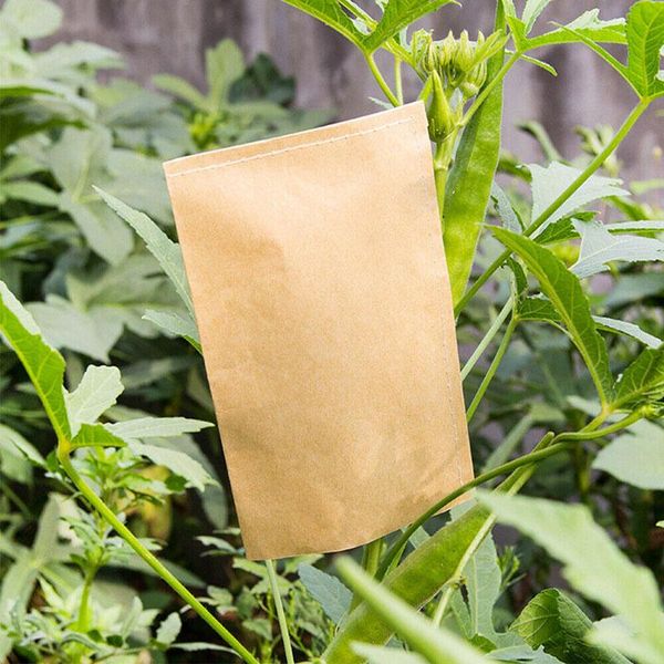 Jardinières Pots 100 pièces enveloppe de protection des graines sacs en papier Kraft cors blé graines de riz emballage sac de rangement enveloppe