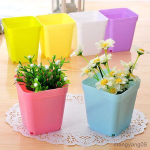 Jardinières Pots 10 PC Coloré Multi Carré Pépinière Pot De Fleur En Plastique Pépinière Pot Graines De Plantes Boîte De Pépinière Transplantation Plateau De Fleurs Pour La Maison Jardin R230620