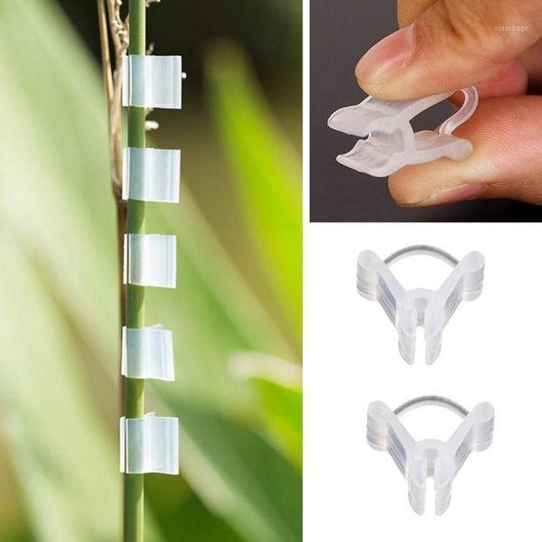 Macetas, 10 Uds., Clips para injertos de jardín, plástico transparente, vegetales, flores, plantas, adornos de jardinería, herramientas