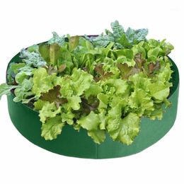 Planters Potten 15-100 Grow-tassen Niet-geweven verhoogd plantentuin bed bloemen plantaardige aardappelstoffen Planter levert