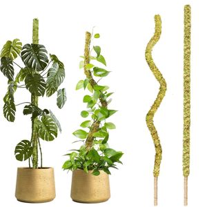 Pots de jardinières 1 pièce, poteau de mousse pliable pour plantes Monstera, piquets de plantes minces faits à la main, véritable escalade d'intérieur 231216