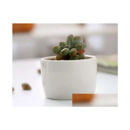 Planteurs Pots 240pcs Bonsaï en céramique Mini Porcelaine Blanc Porcelaine Flongeurs Fournisseurs pour semis Successe Intérieur Pursery FAC DHL9F