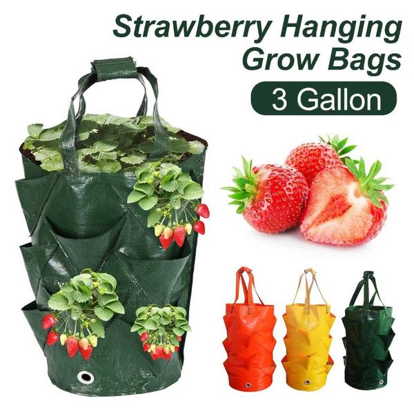 Pots de jardinières 3 gallons graines de fraises sac de culture sacs de plantation pour pommes de terre verger vertical jardin légumes suspendus poussent