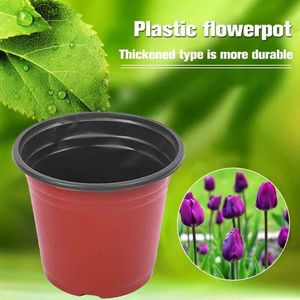 Jardinières pots 50 / 20pcs en plastique Papots de fleurs pépinières graine de démarrage transplantation de fleur de fleur jardinage de plante contenant de la plante