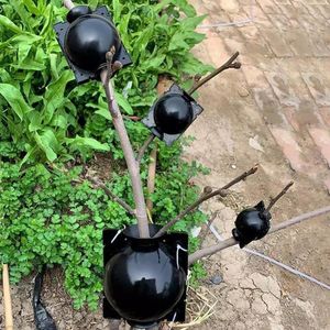 Macetas Macetas 5 piezas Caja de cultivo de raíces de plantas Corte Injerto Enraizamiento Jardín Propagación Bola Suministros