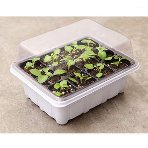 Macetas de 6/12 agujeros para plantar plántulas en el jardín, caja de bandeja inferior con tapa, suministros para plantas domésticas, jardinería1