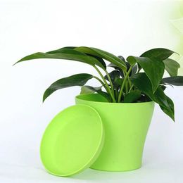 Jardineras Macetas Buah Pot Bunga Taman Pembibitan Penanam Plastik Rumah Kantor Permen untuk Menanam Pot Sukulen Bunga Dekoratif