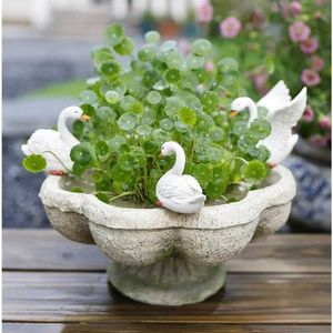 Planters potten creatieve hydrocultuur planten balkon decoratie bloemen pot geperforeerde koperen gras beugel tuin bonsai q240429