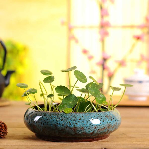 Pots de fleurs Bol de couchage créatif Lotus argent herbe plante hydroponique en pot personnalité jonquille charnue décoration de la maison Pot de fleur en céramique