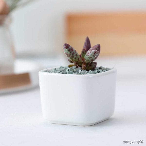 Jardinières Pots Creative Petit Pot De Fleurs Blanc Porcelaine Fleur Ware Mini Petit Carré En Céramique Viande En Pot Succulent Pot Bureau Décor R230621