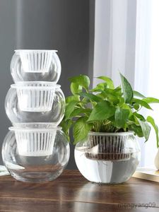 Plantenbakken Potten Creatief Water Planten Fles Plant Transparant Glazen Vaas Container Groene Dille Bloempot Vis Bloem Co-Cultivatie Pot R230620