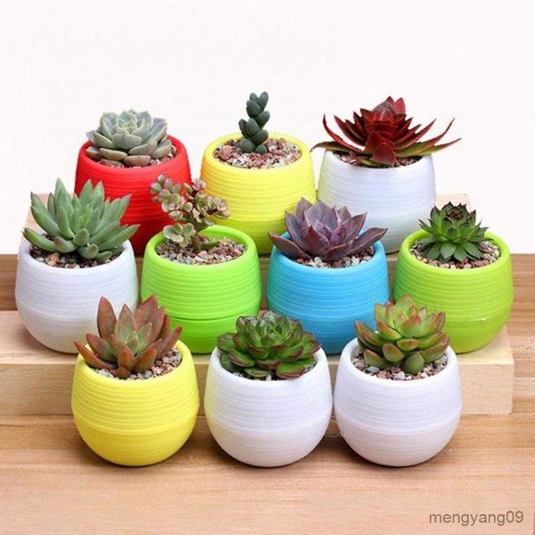 Jardinières Pots Oeuf Forme Plante Pot En Plastique Drainage Trou Pot De Fleurs Bureau À Domicile Jardin Décor R230620