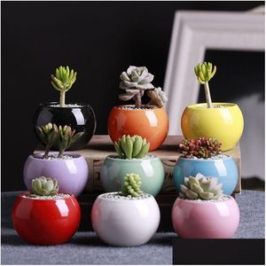 Planters potten mode keramische succenten bloempot kleine bal rond wit porselein kleur mini creatief 9 kleuren drop levering home dh4pi