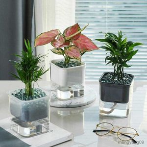 Jardinières Pots Fleur En Plastique Transparent Plante Conteneur Avec Des Trous De Drainage Amovible Auto Arrosage Incassable Planteur Pot Pour La Maison R230621