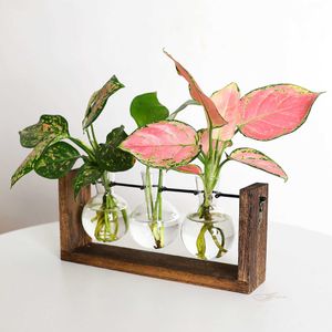 Plantenbakken Potten Frame Glas Hydrocultuur Plantenvazen Bonsai Transparante Hangende Bloempot met Houten Dienblad Thuis Muurdecoratie