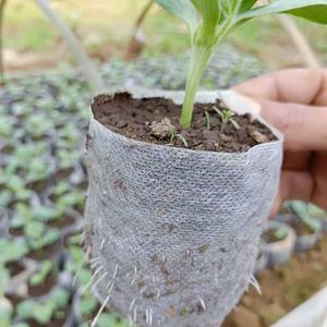 Macetas, bolsa para plántulas de jardín, macetas para flores, bolsas de cultivo de tela no tejida, accesorios de jardinería para invernadero