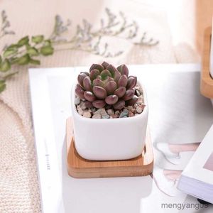 Plantenbakken Potten Geometrisch Wit Keramiek Vierkant Bonsai Planter Kleine Sappige Bloempotten Moderne Kleine Cactus Vazen Bamboe Lade Kantoor Decor R230620