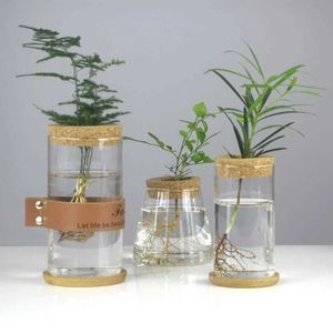 Jardinières Pots Vase Vase Vase transparent Hydroponic Flower Pot Micro paysage écologie Pishant Decoration Decoration Green Plant Vasen Craft