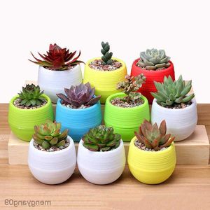 Jardinières Pots Maison Mini Pots De Fleurs Coloré Rond En Plastique Plante Pot De Fleur Plantes Succulentes Pot Jardin Home Office Décor Pots En Plastique R230621