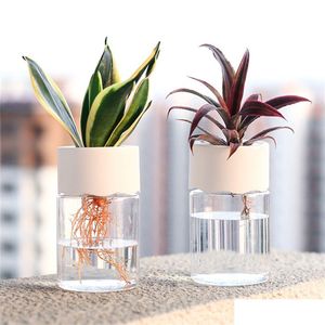 Planters Pots Hydroponic Pot Water Planting Vase Plants Stylish Container Aquaponic Planter Home Desk Officer Decor Flowerpot Drop Dhekh