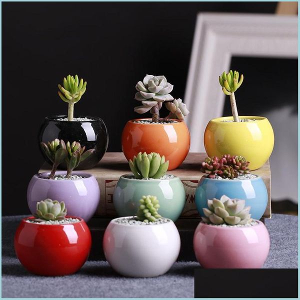 Pots de jardinières Pots de fleurs de botanique charnue Mini Pots Succent créatifs Boule de couleur blanche Circar bassin en céramique fleurs et plantes en pot P Dh7Gh