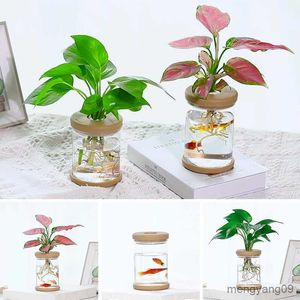 Jardinières Pots Mini Pot De Fleur Vases À Fleurs Hydroponiques Transparent Pots De Plantes Hors Sol Table Intérieure De Bureau Fish Tank Plantes Vertes Décor À La Maison R230620