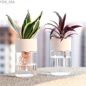 Planters Pots Mini Pot de Fleur Hydroponique Accueil Vase Décor Transparent Imitation Verre Pots de Plantes sans Sol Pot de Plantes Vertes pour la décoration de la Maison 240325