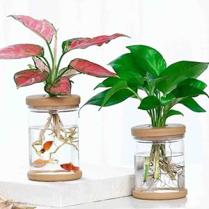 Jardinières pots mini hydroponic pot de fleur décoration intérieure transparente en verre de plante soille pots de plantes vertes pot pour décoration domestique r230621