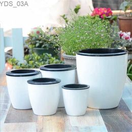 Planters Pots Nouveaux Pots de fleurs automatiques absorbant l'eau bonsaï créatif multi-viande plante hydroponique en pot grands Pots de fleurs en plastique en gros 240325