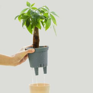 Planters Pots Nouveau Pot de fleur à arrosage automatique planteur auto-absorbant Pot de plante hydroponique sans eau conteneur de plante décoration de bureau à domicile R230614