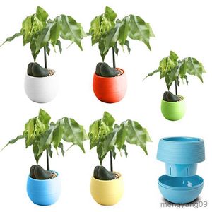 Jardinières Pots Orchidée Petit Mini Coloré Rond En Plastique Plante Pots De Fleurs Décor À La Maison Bureau Planteur En Verre Fleur avec Drainage Plantes D'intérieur R230620