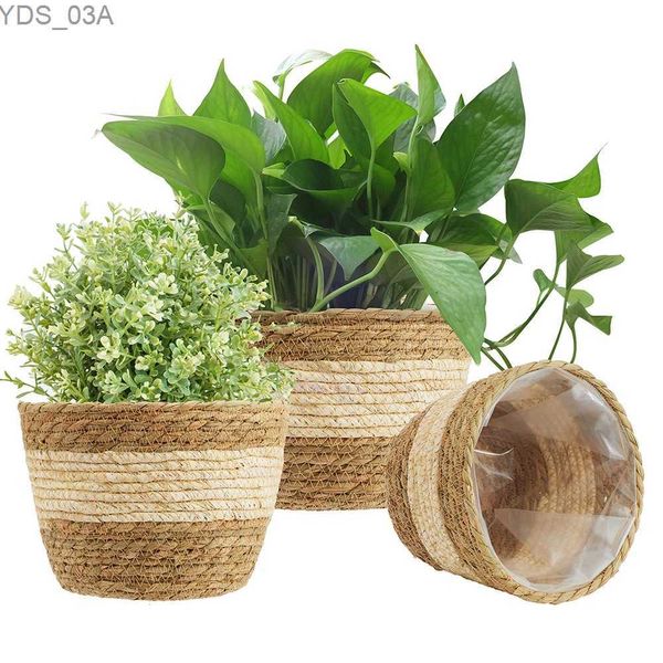 Plantadores Pots Plantas Pots Cesto de pasos marinos Sembrador de almacenamiento tejido Hecho a mano Decoración de interior para Flor de lavandería de Rattan para jardín doméstico 240325