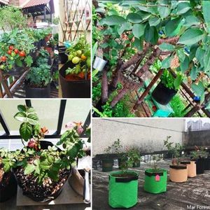 Planters potten planten bucket tuin niet-geweven ademende zaailing kweekzak aardappel plantenpotten met handgrepen plantenbloem groente zakje