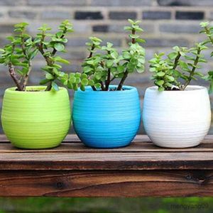 Jardinières Pots En Plastique Oeuf Forme Plante Pot Drainage Trou Pot De Fleurs Bureau À Domicile Jardin Décor R230621