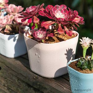 Plantenbakken Potten Kunststof bloempotten met dienblad Succulent Plant Container Decoratieve Office Garden Planter Plantenhouder voor tuin R230621