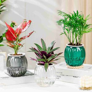 Jardinières Pots Pot tanaman Mini Pot bunga Pot moderne bunga malas dalam ruangan Pot tanaman sukulen desain Mini R230807