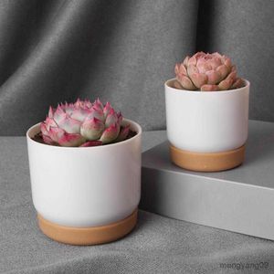 Plantenbakken Potten Praktische Succulent Planter Veel Gebruik Plastic Pot Stevige Stabiele Succulent Groene Plant Pot Dubbellaags Bloempot R230621