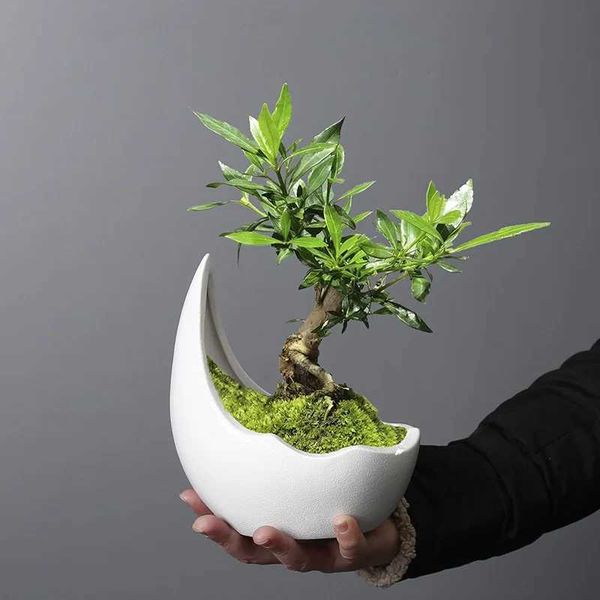 Jardinières pots rhinocéros en forme de corne en forme de fleur en céramique plante verte plante juteuse cactus bonsaï décoration q240429