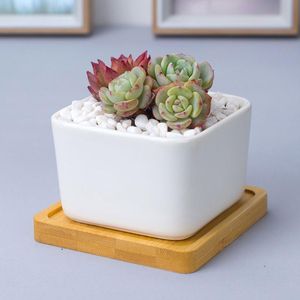 Jardinières Pots Carré Pot De Fleurs En Céramique Durable Pot De Fleur Simple Planteur Bassin Créatif Avec Plateau En Bambou Pour Plantes Succulentes Jardin