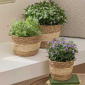 Jardinières Pots Paille Tissage Fleur Plante Panier Pots De Fleurs Naturels Vêtements Sales Panier De Rangement Panier Plante Pot Maison Jardin Décor R230614