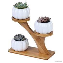 Jardinières Pots Unique Plantes Succulentes Plante Pot Stand Bambou Bois Plante Succulente Pots Titulaire Moderne Pots De Fleurs Pour Rebord De Fenêtre Décor De Table Jardin R230621