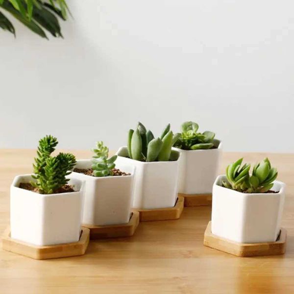 Planteurs Pots Blanc Hexagonal Flowerpot Plant Juicy Plant Céramique pour cactus avec trous de drainage et plate-forme en bambou Q240429