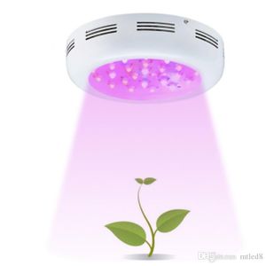 panneau de plantes 300W 600W UFO Full Spectrum Double Chip pour plantes à effet de serre d'intérieur fleur fruit veg croissant